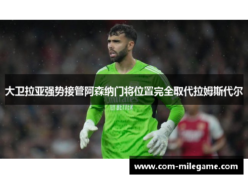 大卫拉亚强势接管阿森纳门将位置完全取代拉姆斯代尔 大卫拉亚强势接管阿森纳门将位置完全取代拉姆斯代尔